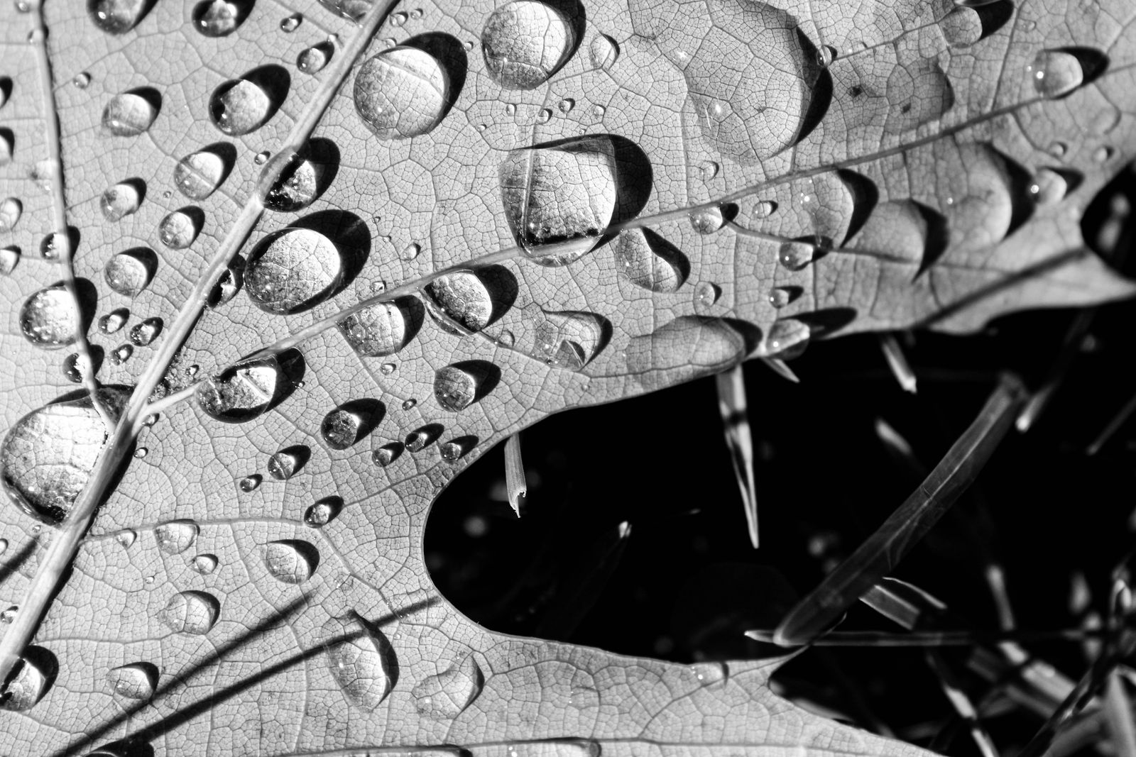After the Rain