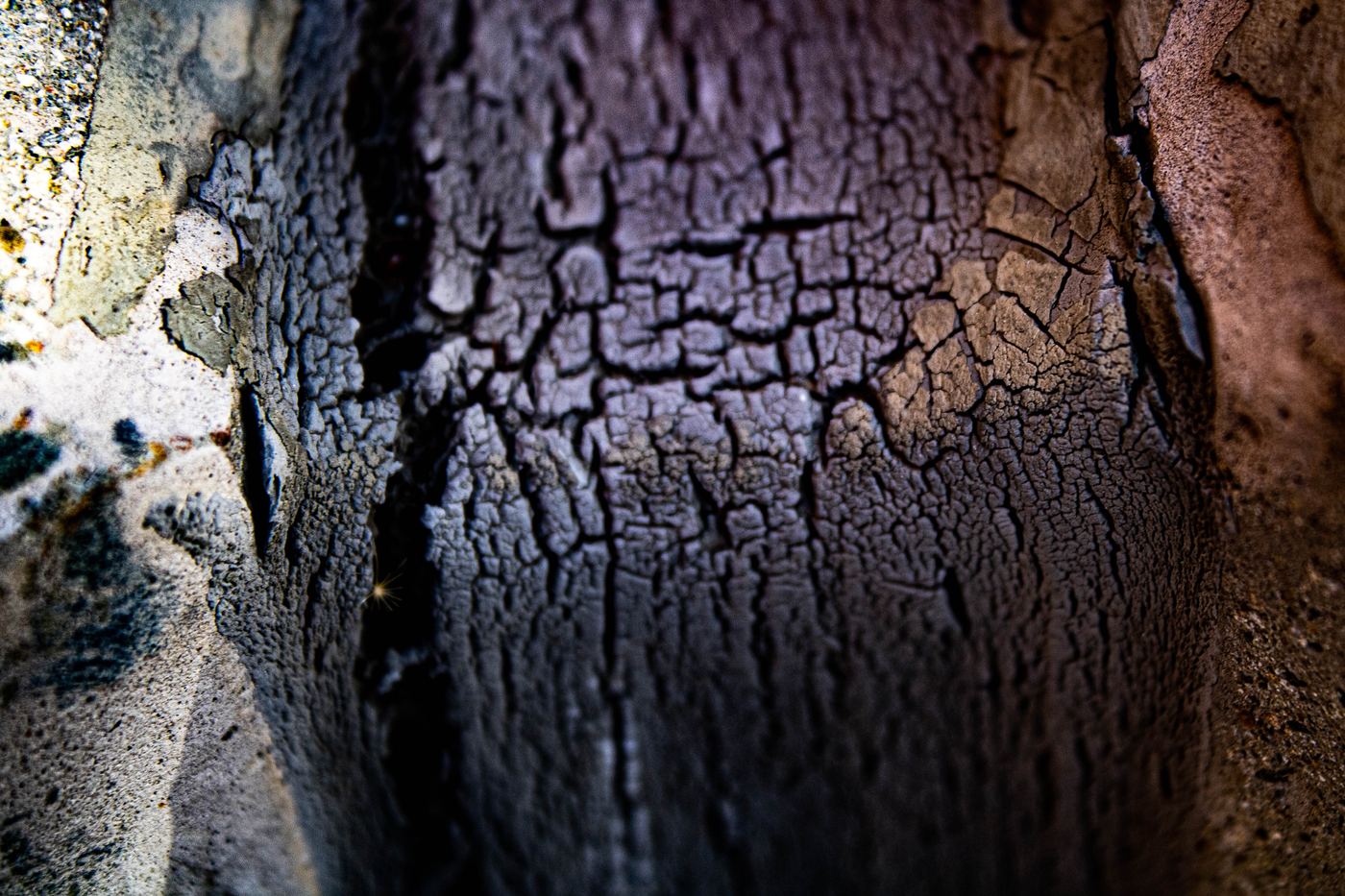 Charred