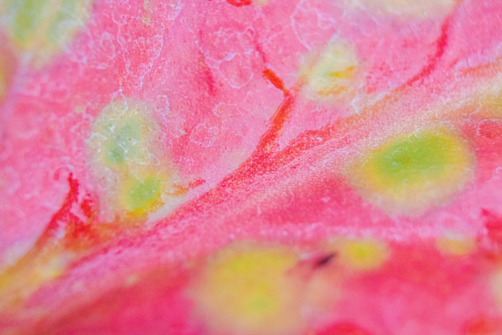 Dragonfruit