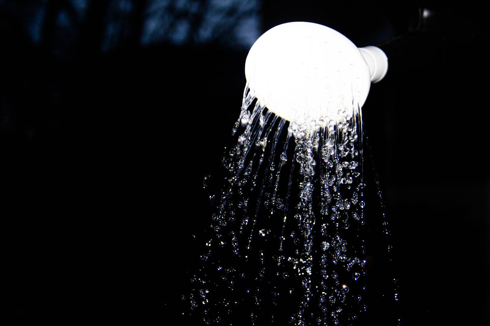 Falling Water