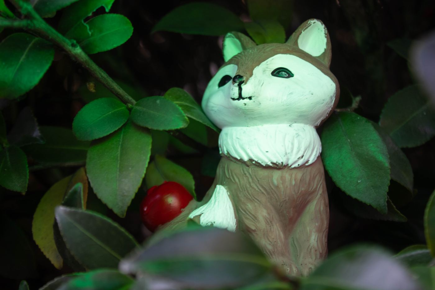 The Fox